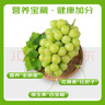 京鮮生陽(yáng)光玫瑰香青提凈重4.5-5斤裝單果10g 葡萄/提子生鮮水果源頭直發(fā) 曬單實(shí)拍圖