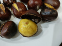 正宗云南板栗5斤新鮮當(dāng)季油栗現(xiàn)摘蔬菜去殼栗子生栗板栗仁大錐栗L 3斤 【新鮮現(xiàn)摘】 曬單實(shí)拍圖