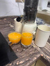 九陽（Joyoung）NFC榨汁機(jī)原汁機(jī) 家用多功能電動冰淇淋機(jī)全自動冷壓榨果汁果蔬機(jī)渣汁分離Z5-LZ550 國家補(bǔ)貼 曬單實拍圖