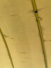 傘小滿(mǎn)24骨帶防水套雨傘高爾夫長(cháng)柄傘大號加固加厚結實(shí)抗風(fēng)暴男士雙人 24骨防水套外黑內黃 曬單實(shí)拍圖
