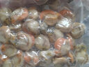 特大號扇貝肉櫛孔貝無(wú)冰衣新鮮熟凍扇貝貝類(lèi)海鮮批發(fā) 特大號扇貝肉20-40個(gè)/斤 無(wú)冰衣5斤裝 曬單實(shí)拍圖