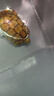 烏龜眼藥水白眼病藥專(zhuān)用眼睛腫睜不開(kāi)白眼小巴西龜用藥白眼清腫眼 龜鱉白眼清1瓶 特效藥 曬單實(shí)拍圖