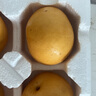 山東萊陽(yáng)羊脂秋月梨冰糖黃梨子新鮮水果團(tuán)購(gòu)禮盒送禮新1澤華 萊陽(yáng)秋月梨3斤4-6個(gè)果 曬單實(shí)拍圖