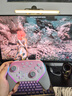 蓋世小雞（GAMESIR）超新星無(wú)線(xiàn)游戲手柄帶底座 適用switch2手機PC安卓Steam電腦NS2pro電視體感藍牙有線(xiàn)粉色絲之歌 曬單實(shí)拍圖