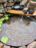 采緹（CAITI）水碗蓮一葉蓮 帶花苞睡蓮荷花大號(hào)小葉迷你水生家用睡蓮?fù)肷徎?大葉10-15公分10片 不含盆 曬單實(shí)拍圖