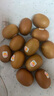 佳沛（zespri）新西蘭  陽(yáng)光金果18粒優(yōu)選果單果約101-124g 獼猴桃 中秋水果禮盒 曬單實(shí)拍圖