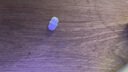 饃彭磁力攪拌轉子子聚四氟子A型B型C型四氟乙烯磁子 A10*30mm(5個(gè)裝) 曬單實(shí)拍圖