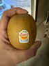 佳沛（zespri）新西蘭 陽(yáng)光金果12粒單果約122-146g 獼猴桃 中秋水果禮盒 曬單實(shí)拍圖