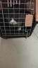 獒少?！編焱?墊板】寵物航空箱大號狗貓托運箱貓咪狗狗航空箱運輸箱 一號 建議12斤以?xún)?曬單實(shí)拍圖