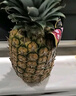 佳農 黑鉆菠蘿1粒裝 巨無(wú)霸 菲律賓鳳梨 凈重3.6斤 生鮮水果 包郵 曬單實(shí)拍圖