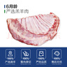 邊塞風(fēng)寧夏鹽池灘羊肉羔羊肋排2斤 原切燒烤燉煮食材 地理標志產(chǎn)品 曬單實(shí)拍圖