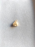 菜百首飾 黃金吊墜 足金國風(fēng)潮玩系列古法黃金吉象/柿子吊墜diy配件 計價(jià) 黃金吊墜/項墜（不含鏈） 約1.58g（吉象） 曬單實(shí)拍圖