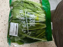 【24小時(shí)菜】小白菜苗200g(長(cháng)度≤24cm) 曬單實(shí)拍圖