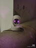 普聯(lián)（TP-LINK）監控攝像頭 500萬(wàn)3K智能雙光全彩夜視 360度全景手機遠程語(yǔ)音通話(huà) 寶寶寵物室內家用安防 IPC45AW 曬單實(shí)拍圖