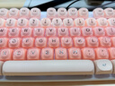 前行者粉底液無(wú)線(xiàn)有線(xiàn)三模機械鍵盤(pán)游戲電競男女生辦公電腦筆記本ipad平板外設高顏值辦公通用 TK930-粉底液?jiǎn)捂I盤(pán)【有線(xiàn)-104鍵】 紅軸【舒適辦公】 曬單實(shí)拍圖