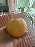京地達山東萊陽(yáng)秋月梨5斤單果400g+新鮮生鮮水果 脆甜梨子 源頭直發(fā)包郵 曬單實(shí)拍圖