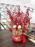 花兒適年宵花新年抱抱桶裝飾花紅果發(fā)財果客廳擺設喬遷搬家禮物新居擺件 喬遷金玉滿(mǎn)堂【特大號紅色】 送?？ㄒ惶?曬單實(shí)拍圖