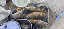 創(chuàng  )威釣魚(yú)竿手竿超硬輕量碳素漁具魚(yú)竿鰱鳙竿鯽魚(yú)竿臺釣竿凌天二代三代 5.4m 二代小綜合【輕持感硬腰力】 曬單實(shí)拍圖