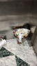公牛學(xué)生宿舍專(zhuān)用電插座帶可繞線(xiàn)插排固定器爬墻寢室排插插線(xiàn)板接線(xiàn)板插座插板 【3插】1.8米-B5120 曬單實(shí)拍圖