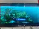 長(cháng)虹4k特價(jià)電視機液晶32/47/65/70寸高清智能wifi網(wǎng)絡(luò )平板led老人家用 50英寸 長(cháng)98*寬56cm 電視版（不能連WIFI） 曬單實(shí)拍圖