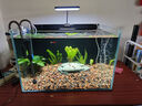 尼奧光 NEO-HELIOS魚(yú)缸燈水草燈LED燈S3proRGB植物光譜 13W新款尼奧S3pro+【高亮自然版雙倍亮度】 曬單實(shí)拍圖