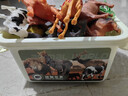 狂野騎士?jì)和婢邉?dòng)物世界男孩益智軟膠仿真模型套裝收納1-3-6歲生日禮物 曬單實(shí)拍圖