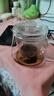 勤凱耐熱高溫玻璃茶壺過(guò)濾加厚透明單壺小號花茶壺家用茶水分離泡茶e 玻璃企鵝壺 480ml 曬單實(shí)拍圖