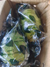 新鮮無(wú)籽青檸檬 果香濃郁小青檸香水檸檬檸檬茶鮮檸檬 香水青檸檬【單果≥60g】1斤 曬單實(shí)拍圖
