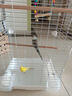 哈駱頓（HALODN）鳥籠鸚鵡專用鳥籠站桿鳥窩籠子虎皮玄鳳八哥鴿子畫眉中大型鳥籠 加高款珍珠白豪華鳥籠7件套 【防腐耐用，雙層可住4-8只】 曬單實(shí)拍圖