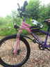 飛鴿兒童自行車(chē)6-8-10-12歲青少年自行車(chē)學(xué)生12到18歲變速山地自行車(chē) 變速-輻條輪-漸變紫-98%已安裝 22寸【適合身高140cm-160cm】 曬單實(shí)拍圖