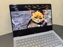 華為MateBook Pro 筆記本電腦 鴻蒙操作系統 鴻蒙AI 970g超輕薄長(cháng)續航 OLED護眼屏 32GB 1TB 晴藍 曬單實(shí)拍圖