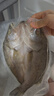 鮮京采三去海鱸魚3斤/3條 生鮮魚類 白蕉鱸魚地標(biāo) 無(wú)冰凈重3斤 源頭直發(fā) 曬單實(shí)拍圖