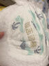 碧芭寶貝盛夏光年拉拉褲XL30片(12-17kg)學步褲 夏季超薄 透氣不悶熱 曬單實拍圖