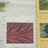 DK微觀(guān)世界大百科（修訂版）課外讀物  7-14歲小猛犸童書(shū)   曬單實(shí)拍圖