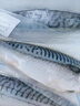 朵芙挪威 青花魚(yú) 6片1kg深海魚(yú)類(lèi)特大青花魚(yú)鯖魚(yú)鮐鲅魚(yú)生鮮海鮮水產(chǎn) 【單片獨立包裝】超大6片凈1000g 曬單實(shí)拍圖