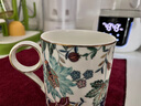 永豐源（auratic）幸福滿園 陶瓷咖啡杯套裝 小精致簡約陶瓷杯碟 200ML咖啡杯 6頭杯碟套裝 曬單實拍圖