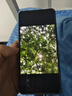 vivo iQOO Z10 Turbo+ 8000mAh超薄藍(lán)海電池 天璣9400+ 自研電競(jìng)芯片Q2 144Hz光域護(hù)眼屏 國(guó)補(bǔ)游戲手機(jī) 云海白 16GB 256GB 官方標(biāo)配 曬單實(shí)拍圖