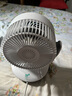 夏普（SHARP)小風(fēng)鈴空氣循環(huán)扇電風(fēng)扇家用小型桌面臺式宿舍臥室辦公室靜輕音抑菌扇葉搖頭臺扇PJ-CA230B-A 曬單實(shí)拍圖