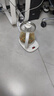 小熊（Bear）養生壺 煮茶壺 恒溫水壺 保溫燒水一體電熱水壺花茶壺 12大功能11檔保溫 1.5L大容量 YSH-J15N8 曬單實(shí)拍圖