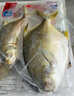 翔泰海南二去金鯧魚(yú)700g/2條  去鰓去內(nèi)臟 燒烤 生鮮魚(yú)類  海鮮水產(chǎn) 曬單實(shí)拍圖