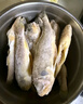 鮮到鮮得 冷凍海捕小黃魚800g(29-31條) 黃花魚 生鮮魚類 中秋 曬單實拍圖