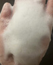 Easevia進(jìn)口氨基酸洗面奶男女士美白淡斑控油祛痘黑頭粉刺提亮去黃潔面乳 【金榜熱銷(xiāo)】美白控油潔面乳120ML 曬單實(shí)拍圖