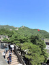 Champion美國冠軍老爹鞋女男 厚底增高千層Y2K休閑鞋24SSC17 曬單實(shí)拍圖