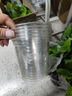 綠蘿盆栽室內客廳綠植花卉 家用凈化空氣綠籮植物吸除甲醛吊蘭 高20CM【原盆+自吸水】10盆+5肥 曬單實(shí)拍圖