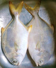 翔泰 海南金鯧魚(yú)凈重900g 2條裝  魚(yú)類(lèi)生鮮 燒烤 火鍋食材 海鮮水產(chǎn) 曬單實(shí)拍圖