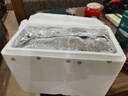 參福元 長島底播即食海參 1000g24-36頭/2袋 高品質(zhì)刺參 曬單實(shí)拍圖