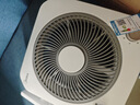 美的（Midea）電風(fēng)扇 臺扇鴻運扇家用五葉臺式迷你小風(fēng)扇宿舍臥室節能桌面電扇轉頁(yè)扇 KYT20-25F 曬單實(shí)拍圖