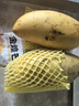 廣西金煌芒新鮮芒果10斤當季熱帶水果大青芒超大特大水仙芒果包郵 5斤 【特大果】單果500g+丨不甜包賠 曬單實(shí)拍圖