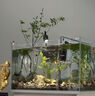 魚(yú)缸清洗神器魚(yú)缸水質(zhì)凈化劑魚(yú)缸凈水劑50年不換水去綠去黃水神器 買(mǎi)二贈一【魚(yú)缸一滴清】三瓶裝 曬單實(shí)拍圖