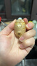 山東新鮮大姜超市生鮮蔬菜老姜即食水果生姜水洗凈姜 山東大姜250g 曬單實拍圖
